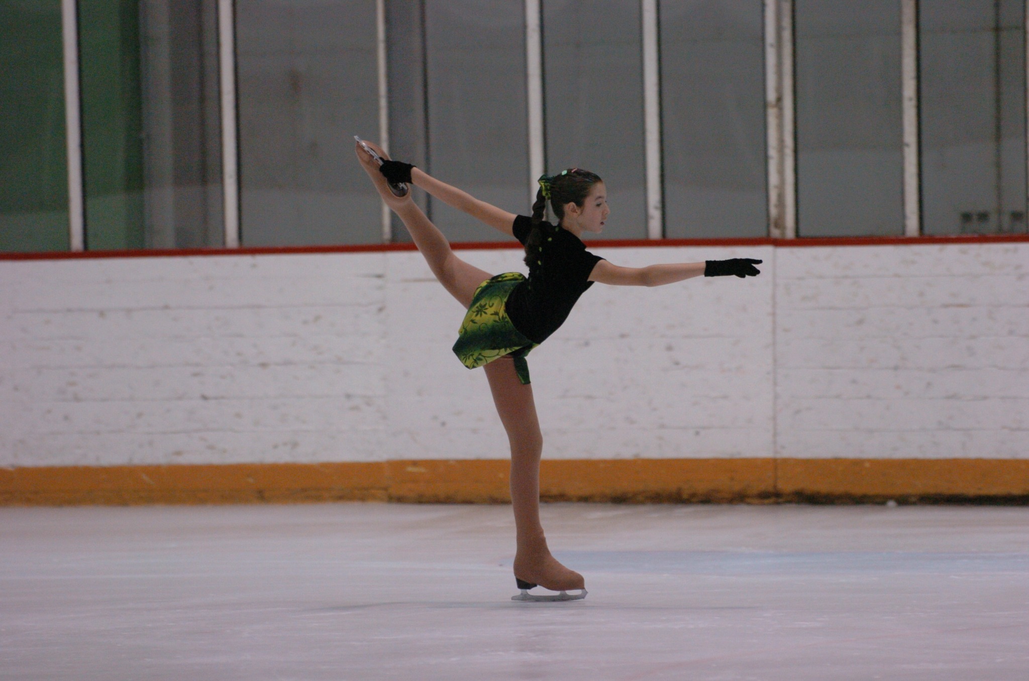 Winter Ice Show Announcement